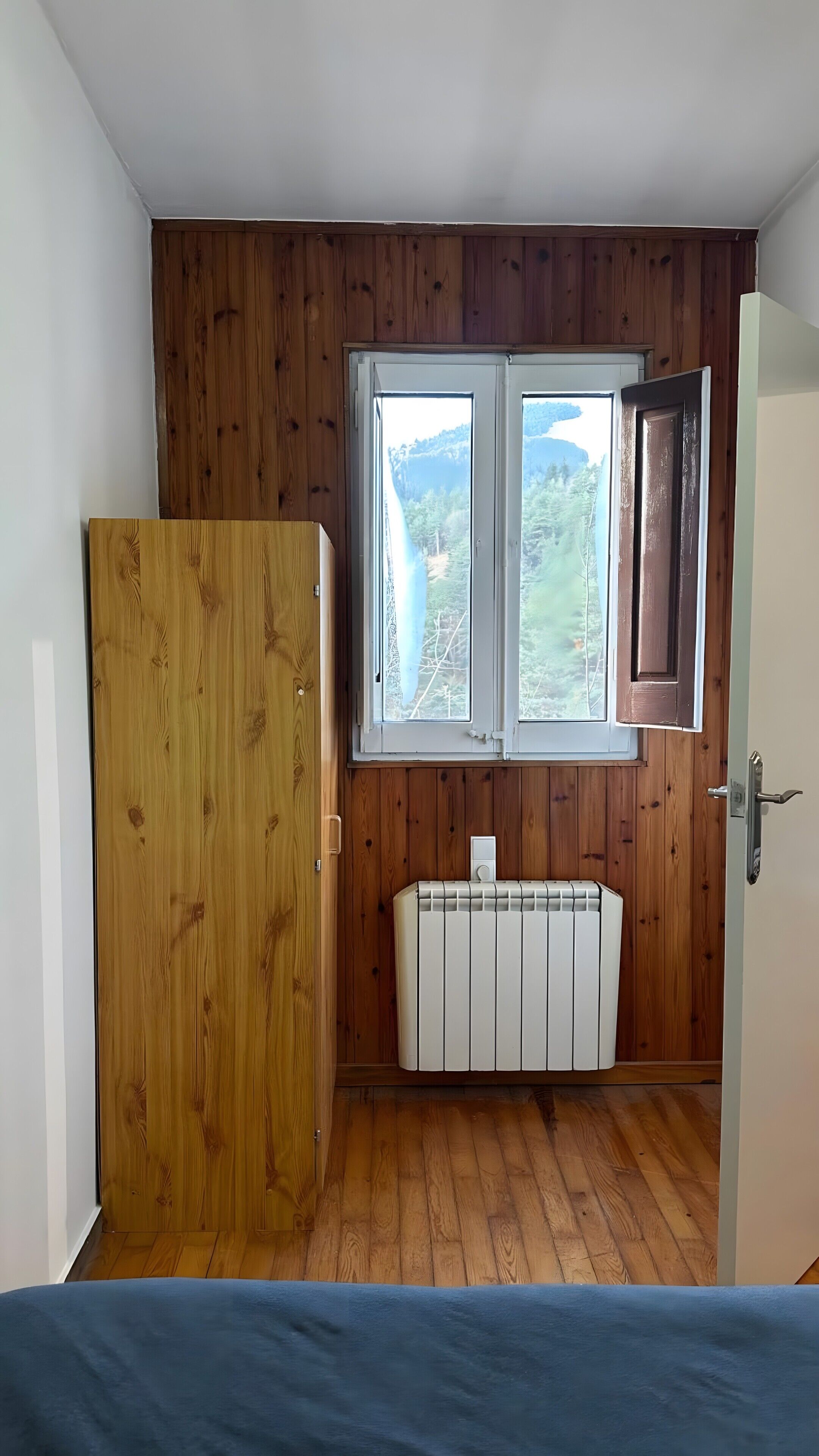 A room with wooden panel walls, a radiator, a window with a view of a forest, and a door.