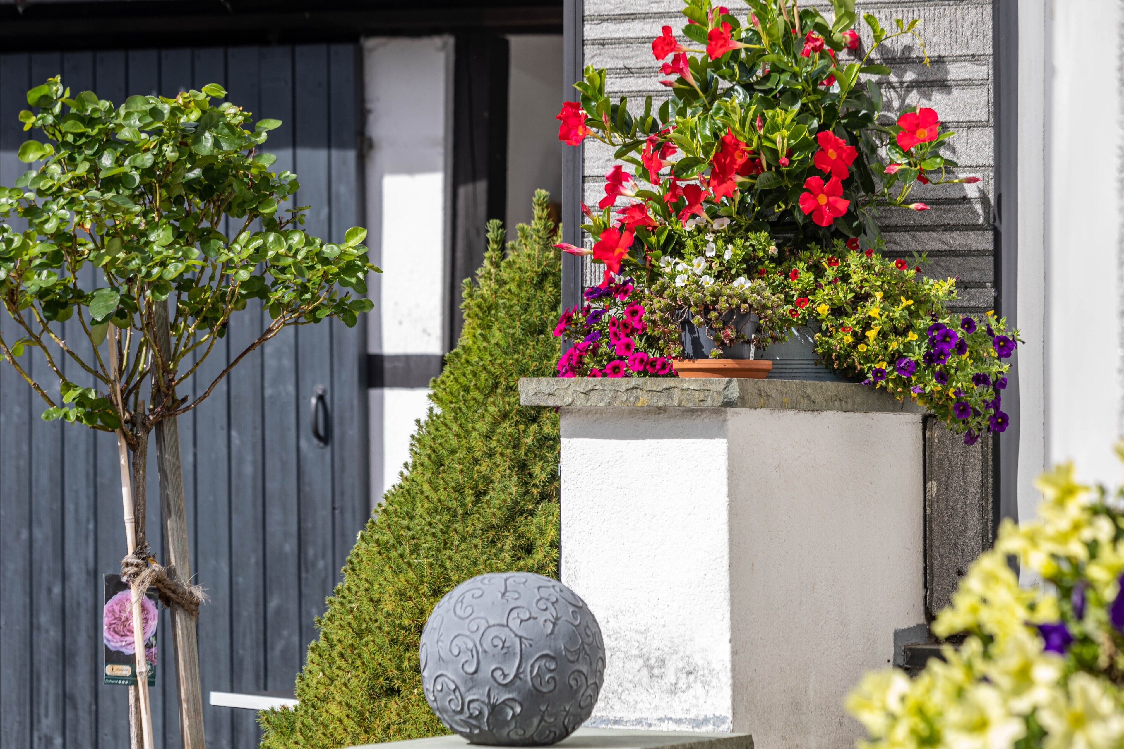 Detall de l'exterior