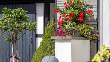 Detall de l'exterior