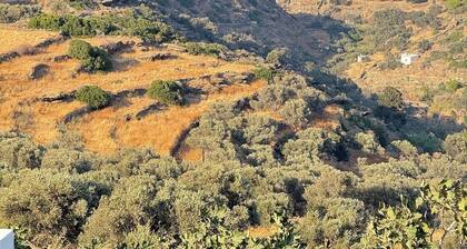 Sifnos Blue Horizon House - Endless Blue