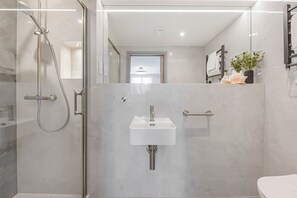 Shower, hair dryer, towels