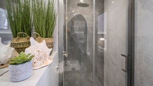 A bathroom with a glass shower door, a potted succulent, and decorative plants on a shelf.