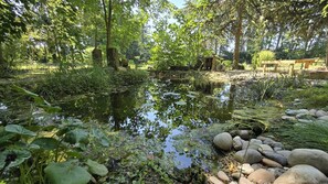 Jardines del alojamiento