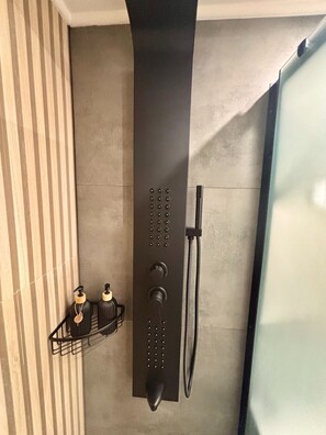 Shower, hair dryer, towels