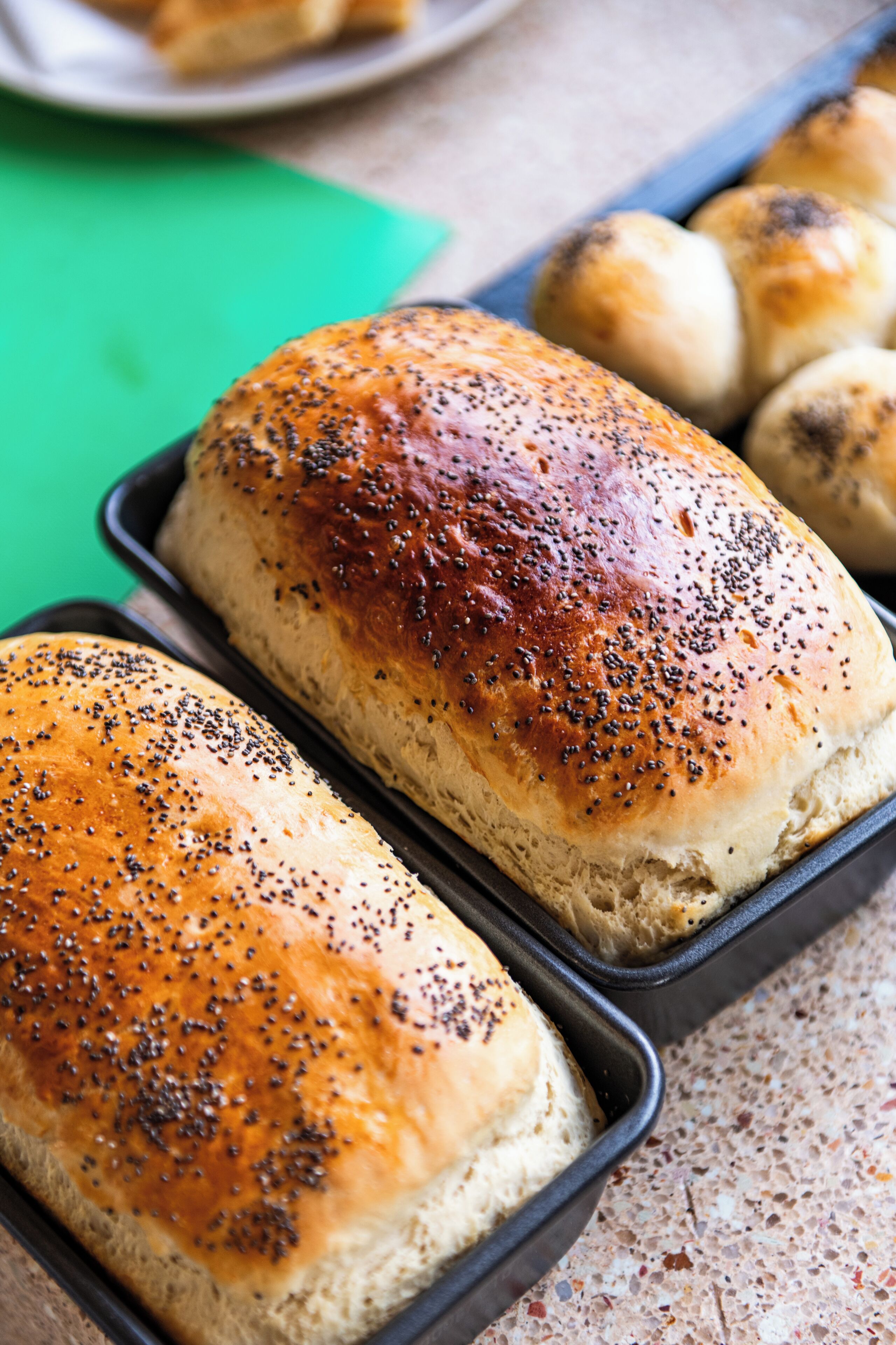 Two loaves of bread with poppy seeds on a baking tray.