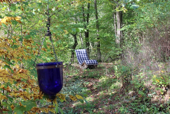 A forested area with a checkered lounge chair and a blue glass.