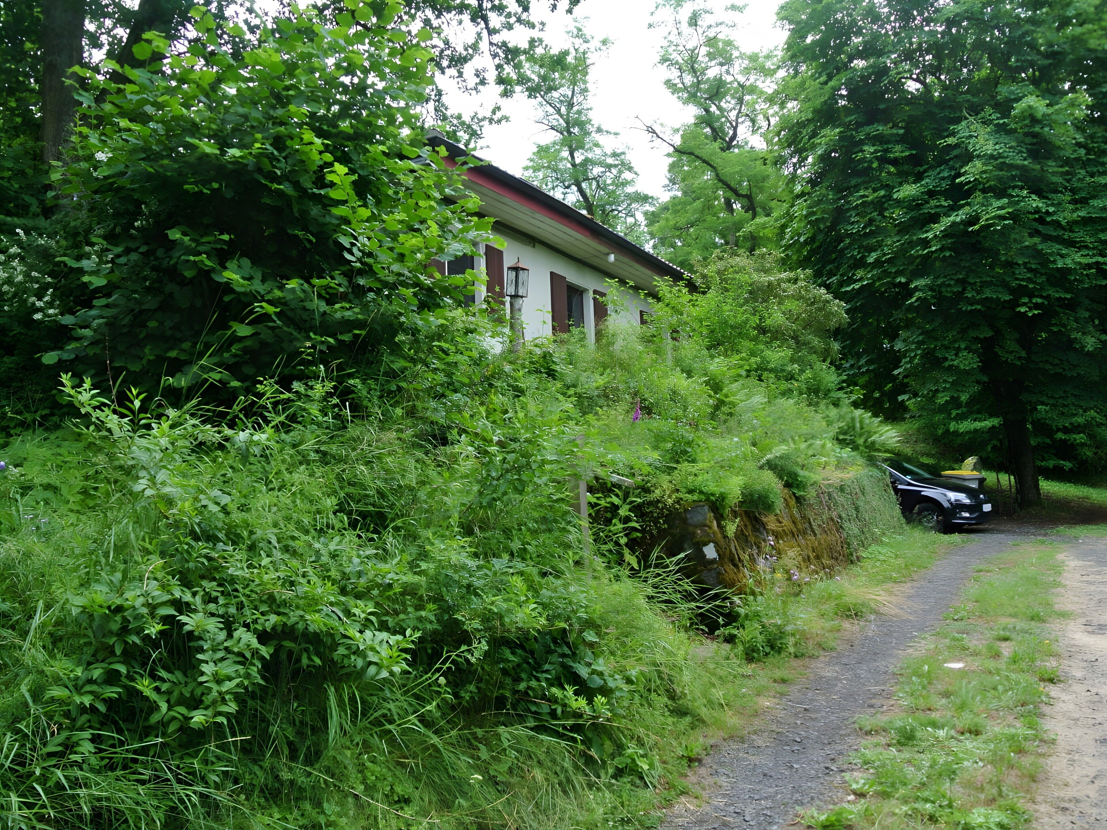 A rural road with a white building, dense greenery, and a parked car.