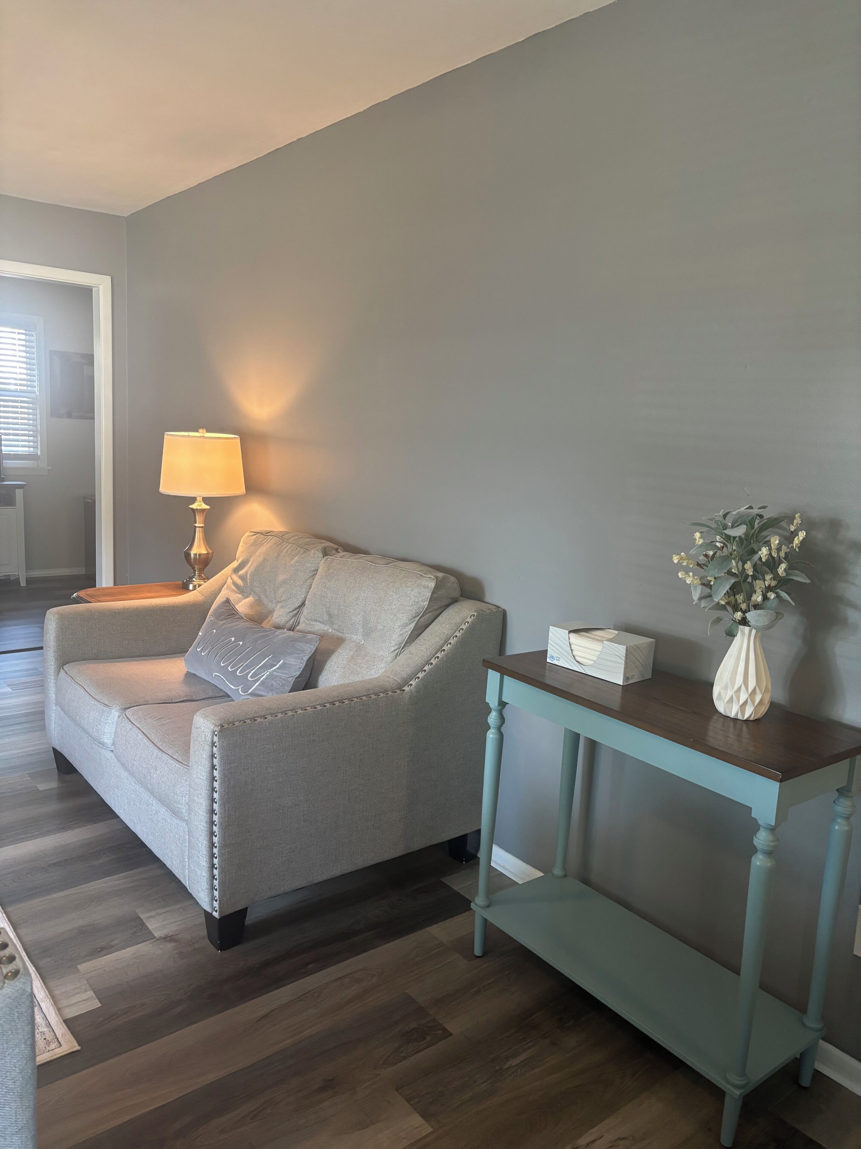 Älytelevisio, kirjoja