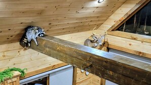 A wooden interior with a sloped ceiling, a wooden beam, and a deer head mounted on the wall. - Cozy 2-bedroom cabin in near Gambier, peaceful woodland setting (Gambier)