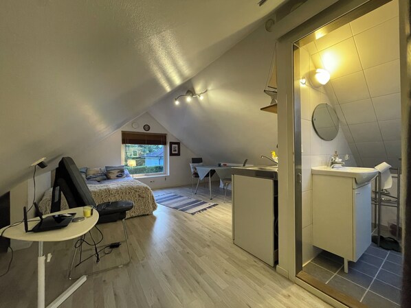 1 bedroom, iron/ironing board, WiFi, bed sheets