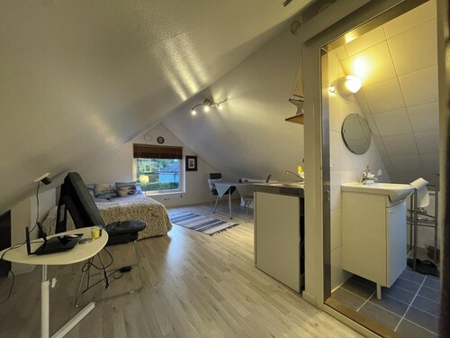 Sea inspired suit for you and your pet