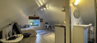 Sea inspired suit for you and your pet