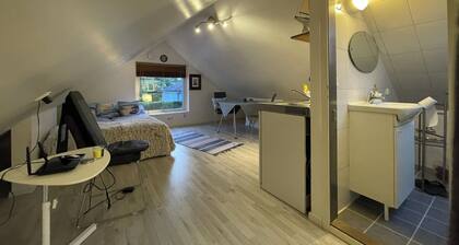 Sea inspired suit for you and your pet