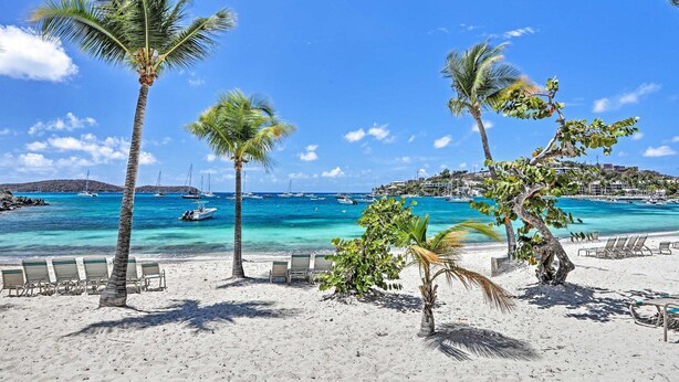 A beach with palm trees, clear blue water, and boats.