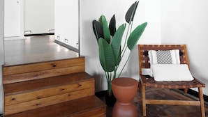 Una habitación con una escalera de madera, una planta grande en maceta, una silla de madera con cojín y una pared de ladrillo.