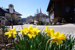 Terrain de l’hébergement 