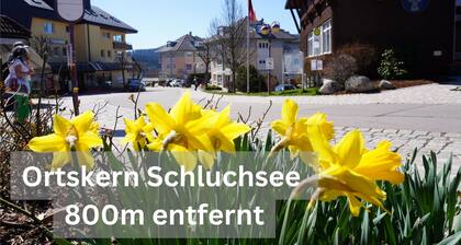 Rothirsch Schluchsee vacation apartment: perfect for families and active people