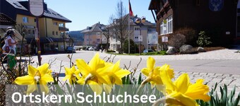 Rothirsch Schluchsee vacation apartment: perfect for families and active people