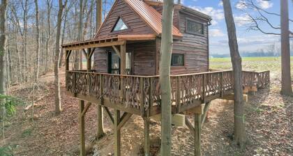 Harry Potter's Treehouse Burrow
