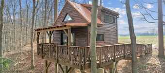 Harry Potter's Treehouse Burrow