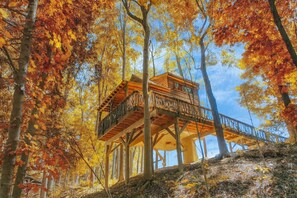 Une cabane en bois perchée dans un arbre, dotée d’un balcon et entourée du feuillage automnal.