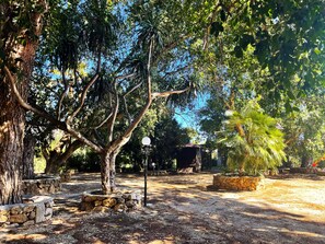 Terrain de lâhĂ©bergement