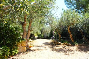 Jardines del alojamiento