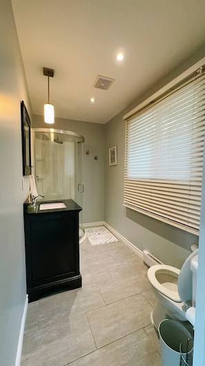 Hair dryer, towels, soap, toilet paper