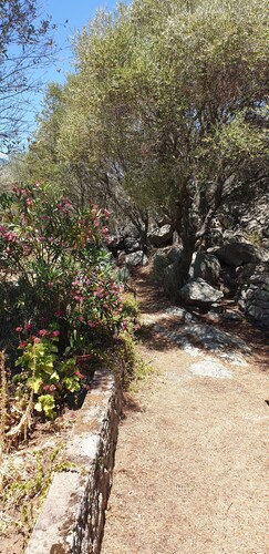 Maison typique Corse T4