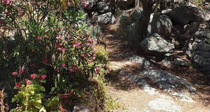 Maison typique Corse T4