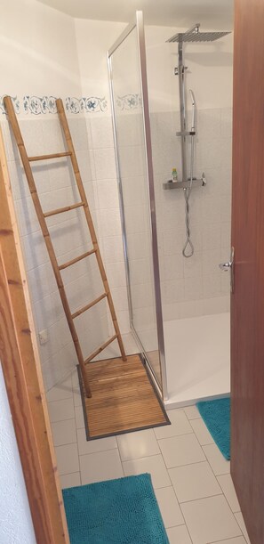 Shower, hair dryer, towels, toilet paper