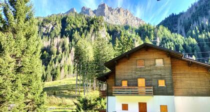 El Zirum-Boscoverde 3