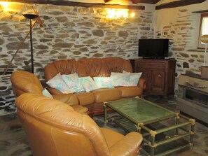 تلفزيون، مشغل دي في دي