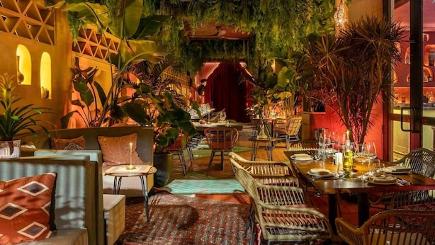 A cozy restaurant with indoor plants, wicker furniture, and a warm ambiance.