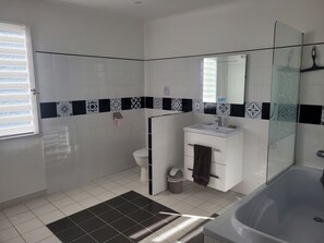 Shower, hair dryer, towels