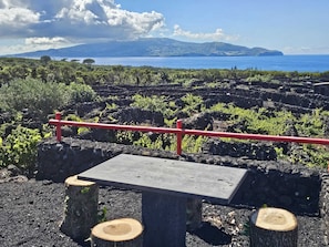 Outdoor dining - Canopus star house. (MADALENA DO PICO)