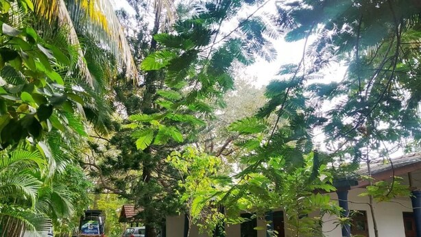 مائدة طعام