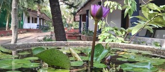 Nature Lodge Habarana