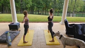 Property grounds - Cozy Cove: Pets ok. 4 bikes, 5 kayaks, 2 paddleboards, wifi (Huddleston)