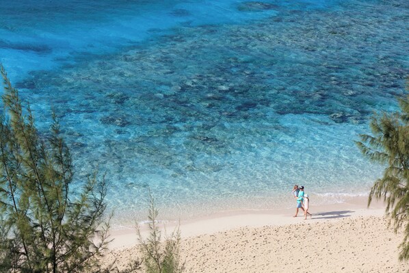 A beach with clear water, a person walking, and some trees.