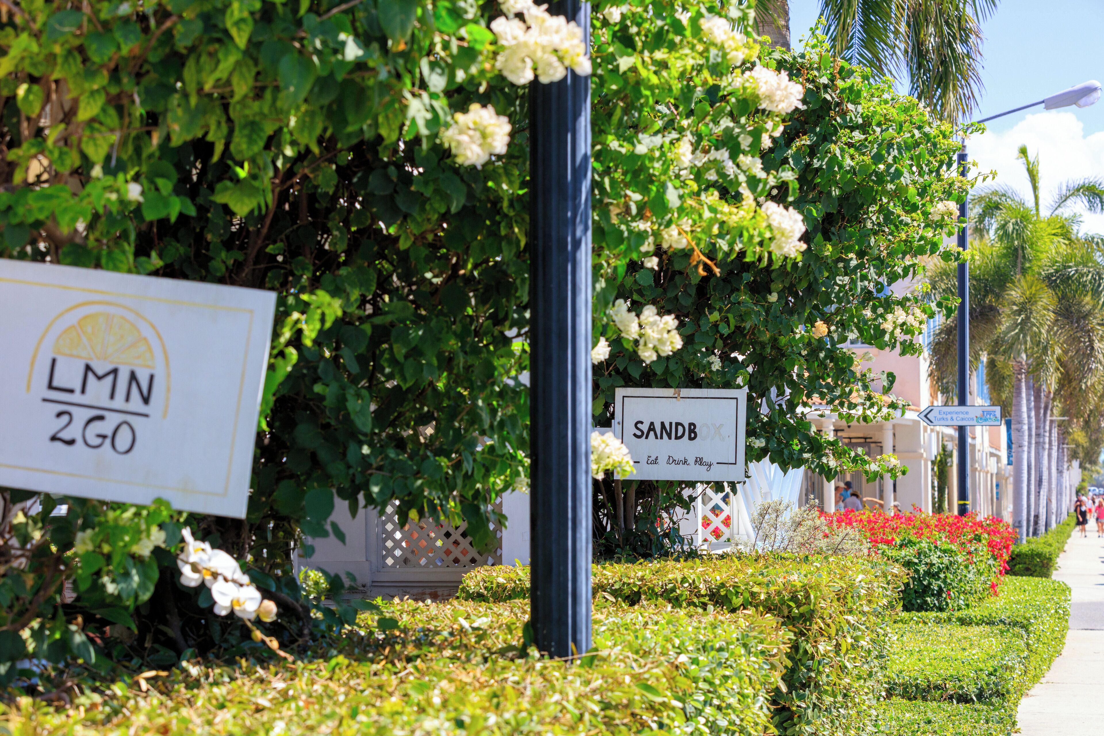 Una calle con carteles que indican 'LMN 2GO' y 'SANDB'.