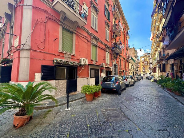 A narrow street lined with colorful buildings, parked cars, and potted plants.