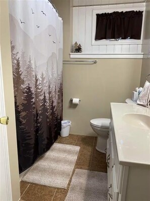 Hair dryer, towels, toilet paper