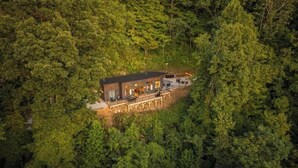 A modern lodge surrounded by dense forest. - Sauna & Cold Plunge Cabin + Mountain Wellness Retreat (Bryson City)