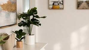 A fireplace with a white mantel, a potted plant, and a framed picture on the wall.