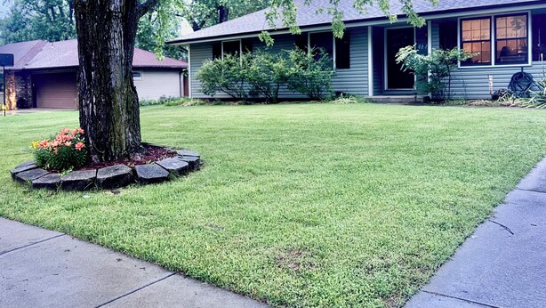 A residential house with a well-maintained lawn, a large tree, and a garage. - Roomy 4-bed house in Springfield + Pet friendly + Gym + Workspace (Springfield)