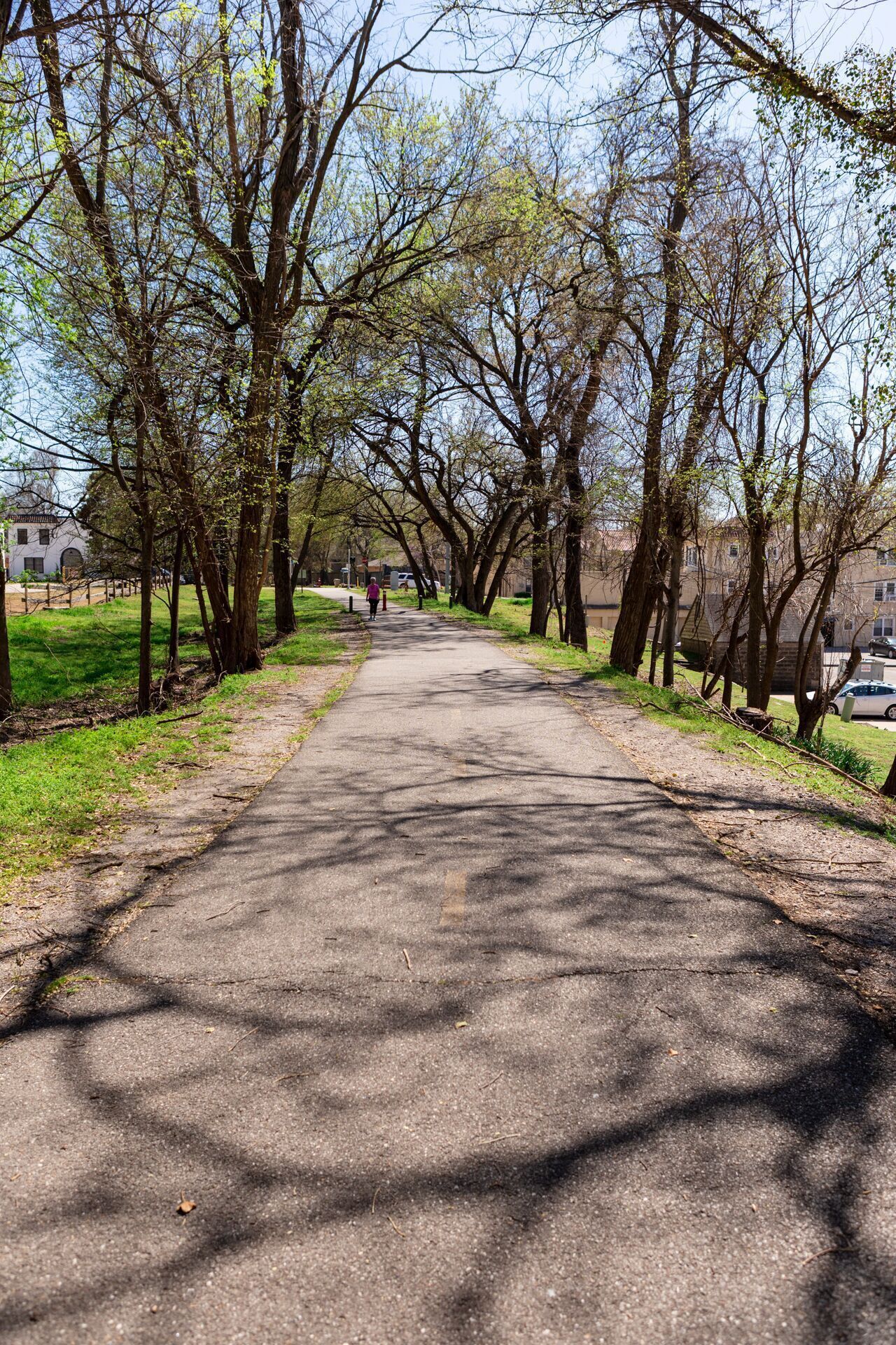 A paved pathway lined with trees, leading to a building with a white facade and arched windows.