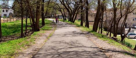 A paved pathway lined with trees, leading to a building with a white facade and arched windows.