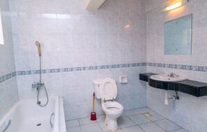 Shower, jetted tub, hair dryer, bidet