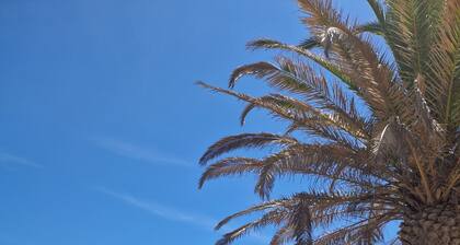 Spacious Studio at Estrela Da Luz, pools, indoor spa and gym.